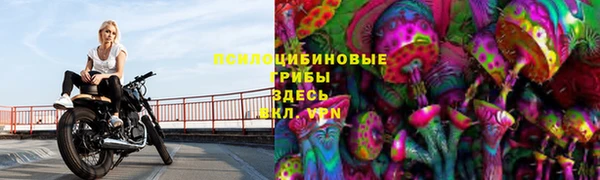 первитин Алексеевка