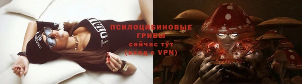 кокс Абаза