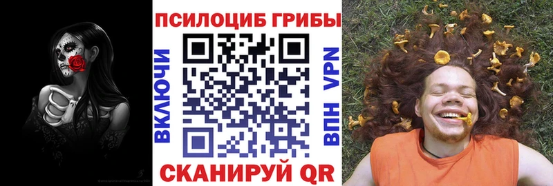 где купить наркоту  Павловский Посад  ссылка на мегу как войти  Галлюциногенные грибы мухоморы 