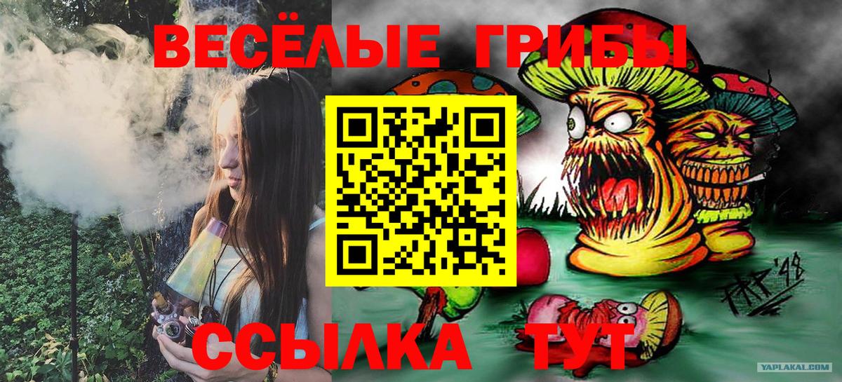 Псилоцибиновые грибы Cubensis  Вход с VPN  Псилоцибиновые грибы Psilocybine cubensis  Павловский Посад 